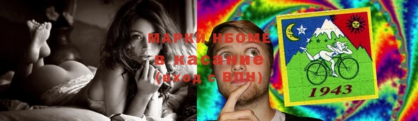 индика Аркадак