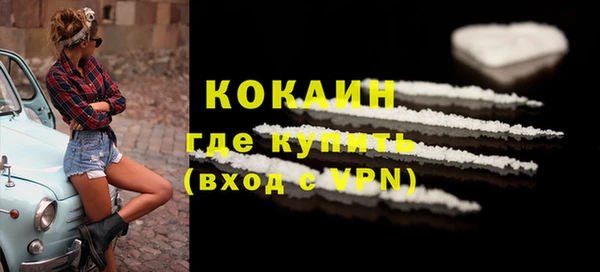 индика Аркадак