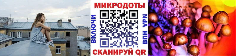 Псилоцибиновые грибы Psilocybine cubensis  маркетплейс как зайти  Артёмовск 